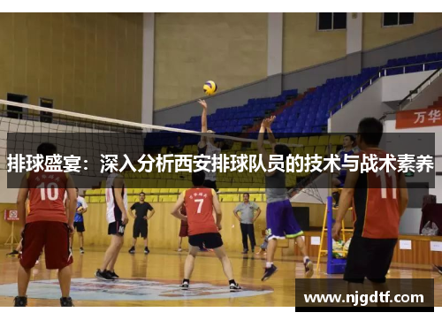 排球盛宴：深入分析西安排球队员的技术与战术素养